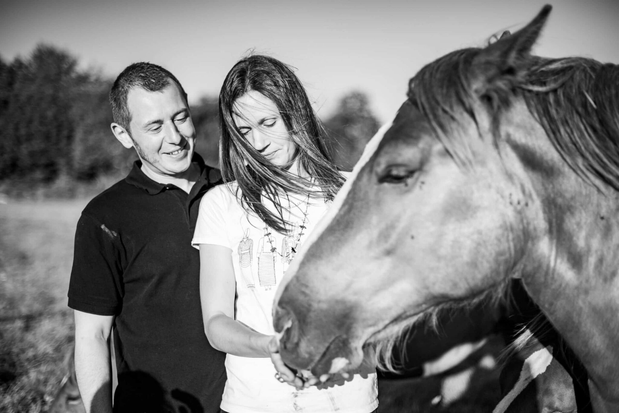 La Jumenterie de Cornouaille La Jumenterie de Cornouaille